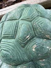 Concrete tortoise