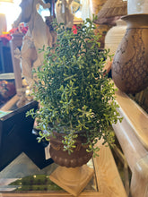 Greenery in Urn