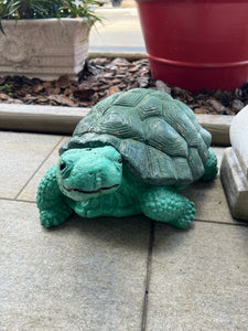 Concrete tortoise