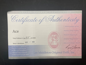 Lee Middleton "Ace" Limited Edition Vinyl Artist Doll By Reva Schick