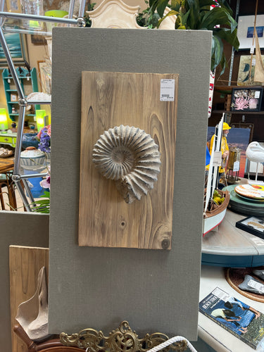 Large 3D Shell Wall Decor