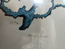 Coral Print in Glass