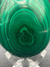 479 Gram South African Malachite Egg