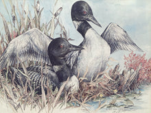 Doung Lindstrand Signed Limited Edition "Common Loons" Print