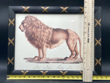 Karl Joseph Brodtmann Barbary Lion Framed Reproduction Print