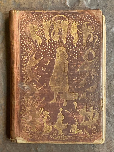 The Brown Fairy Book | Andrew Lang w/ Illustrations by Henry Ford 1904