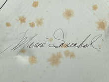 Signed Original Marie Senechal Hummingbird & Flowers Painting