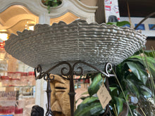 Shells in Gold Bowl