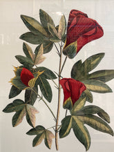 Print