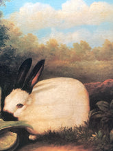 P.Rolence "Himalayan Rabbits" Framed Canvas Art Print 26x29"