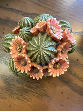 Harmony Kingdom Cactus Box