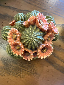 Harmony Kingdom Cactus Box