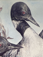 Doung Lindstrand Signed Limited Edition "Common Loons" Print