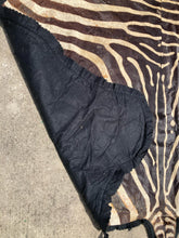 Authentic Namibian Hartmann's Mountain Zebra Hide Rug 74" x 116"