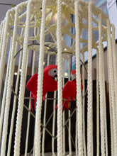 Vintage Macrame Bird Cage with Birds