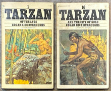Tarzan 37-Volume Paperback Assortment | Edgar Rice Burroughs