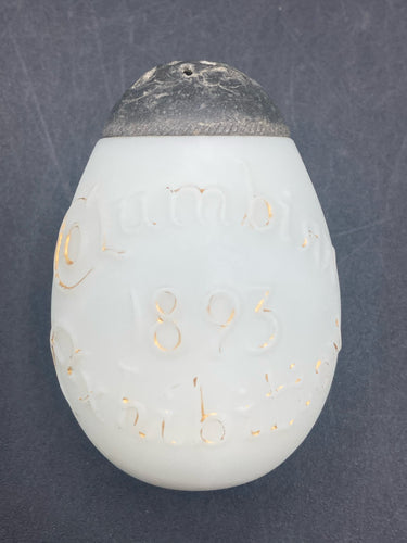 1893 World's Fair Columbian Exhibition Mt. Washington Egg Shaped Salt Shaker