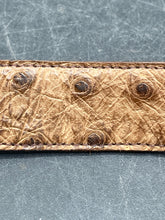 42" Full Quill Ostrich Leather Belt, Brown