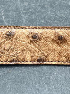 42" Full Quill Ostrich Leather Belt, Brown