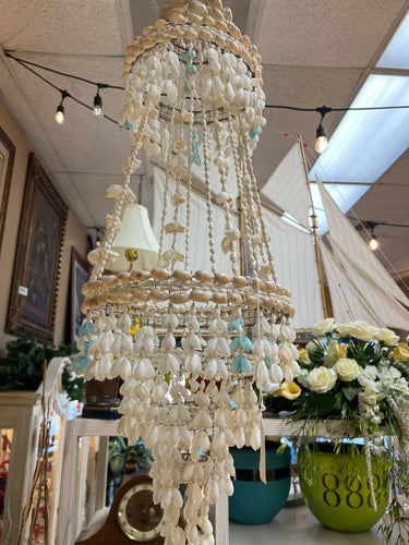 Hanging Shell Plant holder
