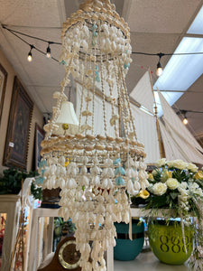 Hanging Shell Plant holder