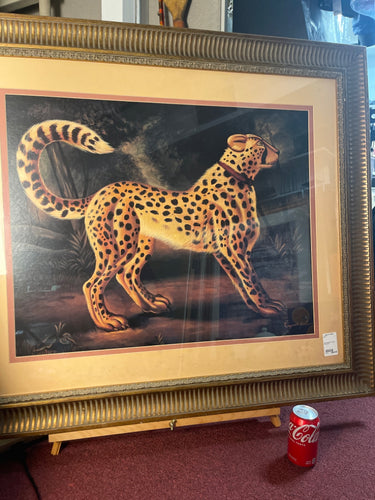 Reginald Baxter Cheetah Portrait Print