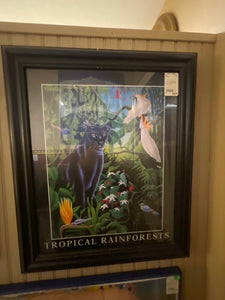 Tropical Rainforests Framed Art
