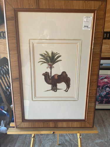 Framed Camel Print