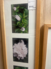 Glass Framed Photos Of Flowers