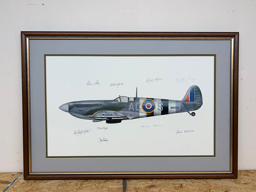In Memory of the Few Spitfire Signed Print. Commissioned by Geoffrey Page DSO DFC in 1977 Framed. No Glass Signed by: Douglas Bader, Johnnie Johnson, Alan Deere, Chris Foxley-Norris, Geoffrey Page, Bob Stanford-Tuck, John Cunningham, Geoffrey Quill, Bri