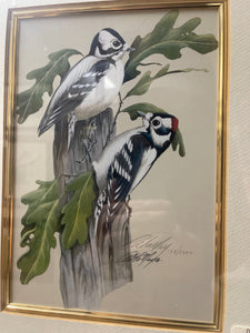 "Woodpeckers" SIGNED print by Art Lemey