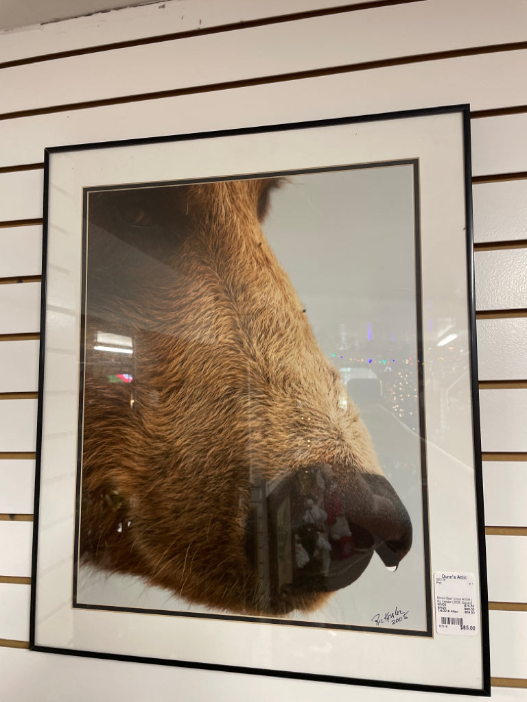 Brown Bear Ursus Arctos | Ric Kessler (2005, Signed)