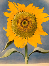 Georgia O'Keeffe "Sunflower New Mexico" Framed Print