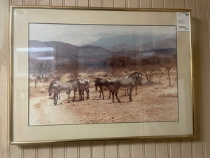 'Zebra Gathering or Equine Repose' (Photographic Print/ Nature Composition)
