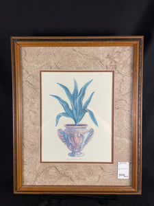 Aloe Tuberosa Levis Plant Print