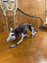 Katherine's Collection Skeleton Dog