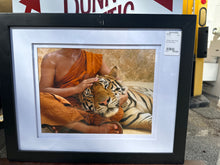 Framed Tiger Photo by Lisa Kristine