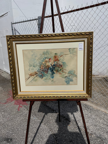 Framed Fruit Scene