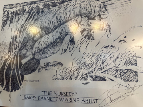 The Nursery - Barry Barnett: Marine Artist (Signed, Framed Print)