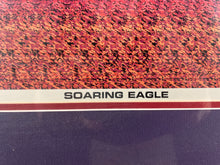 Soaring Eagles UltraGrafix Abstract Print