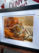 Framed Tiger Photo by Lisa Kristine