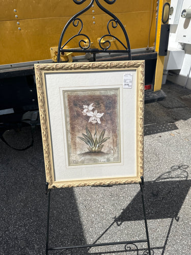 Cream Colored Framed Floral Print