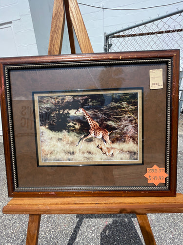 Safari Photography Framed