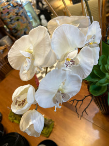 Orchid Floral Arrangement in Black Vase