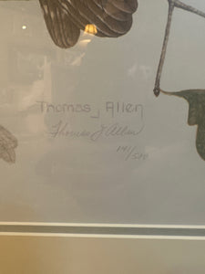Signed Lomited Edition Thomas J Allen "Northern Saw Whet Owl"