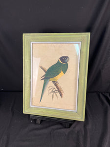 Bird In Green Frame