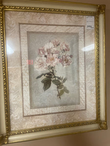 "Rose II" (Framed Print, 23" × 19")