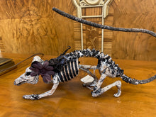 Katherine's Collection Skeleton Dog