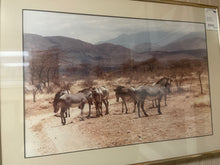 'Zebra Gathering or Equine Repose' (Photographic Print/ Nature Composition)